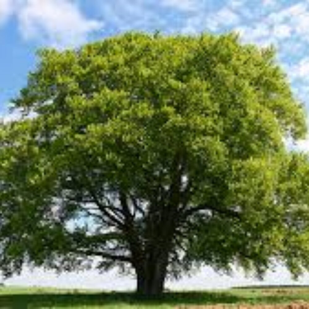 Meet your Posher, MR